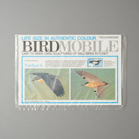 MOBILE OISEAU - SITTELLE