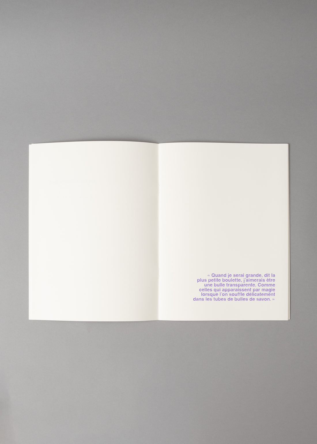 LES MILLE ET UN DESTINS D'UNE BOULETTE - LIVRE A ILLUSTRER - SUPEREDITIONS