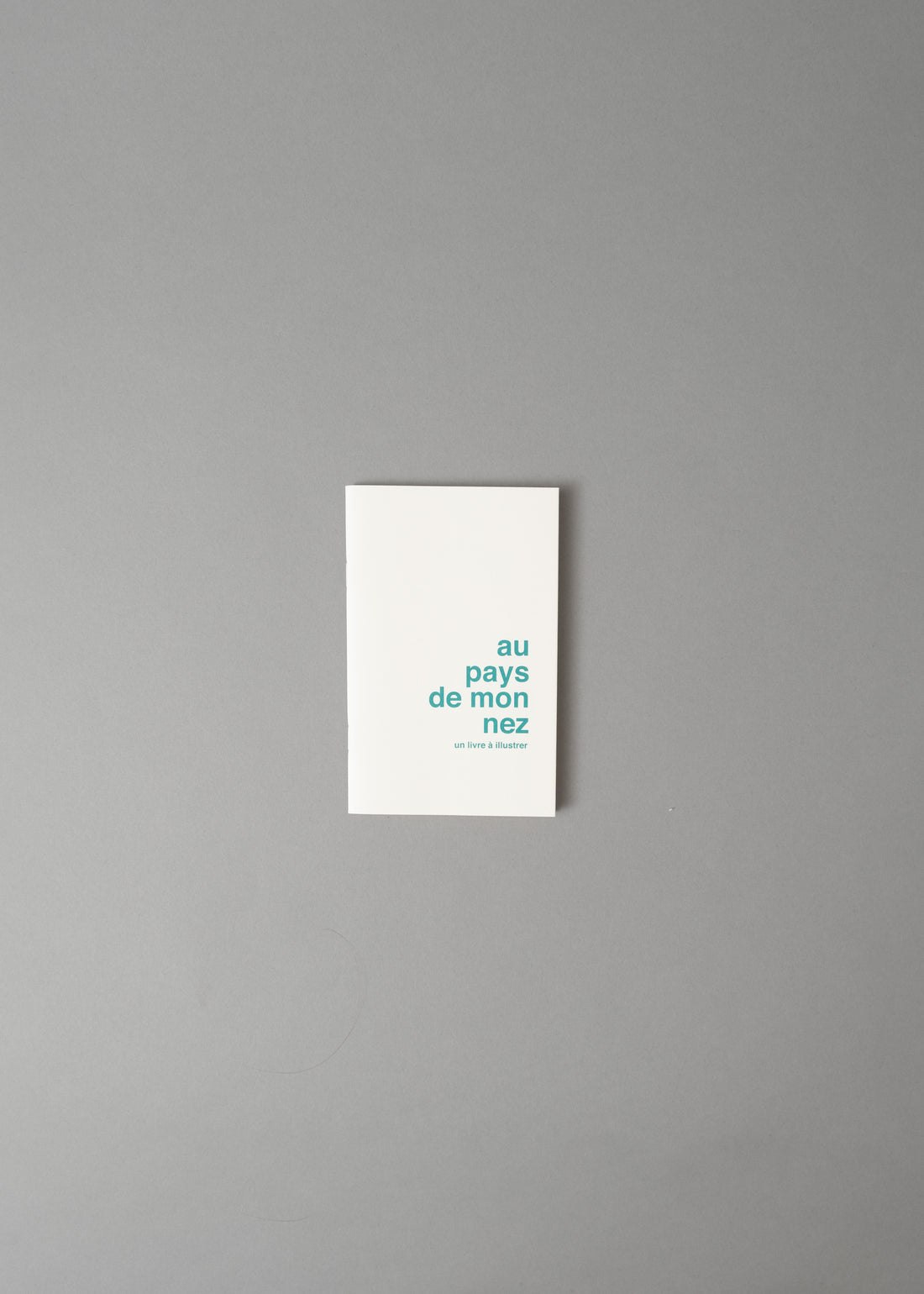 AU PAYS DE MON NEZ - LIVRE A ILLUSTRER - SUPEREDITIONS